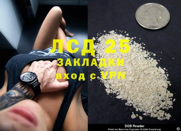 ГАЛЛЮЦИНОГЕННЫЕ ГРИБЫ Алексеевка