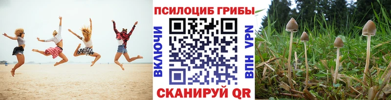 купить  сайты  Богородицк  Псилоцибиновые грибы мухоморы 